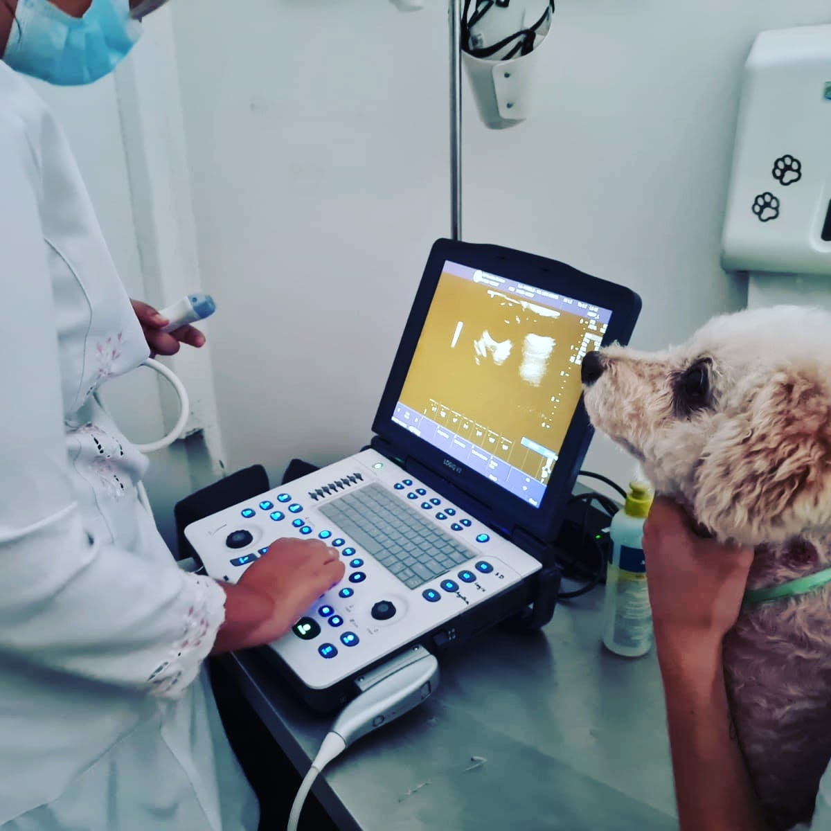 foto de um atendimento de ultrasson